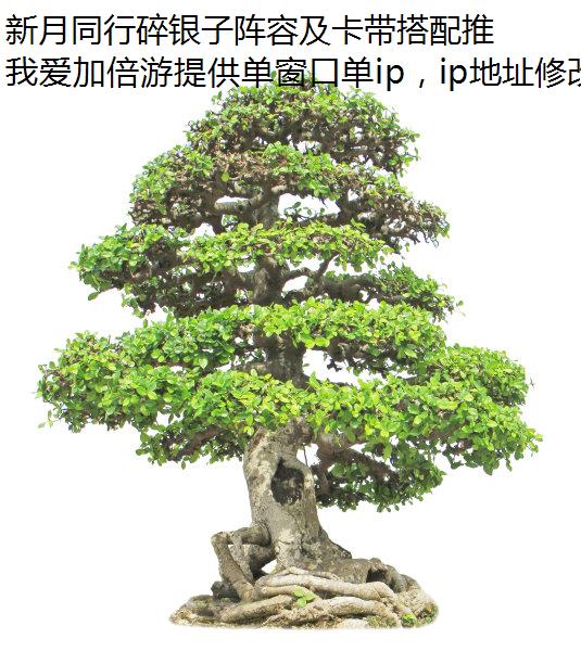 ͬݼưip