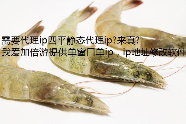 Ҫipƽ̬ip?л!