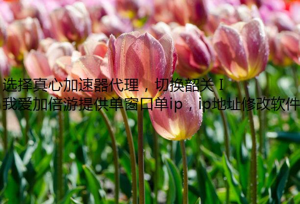 ѡļлع IP ַٷ