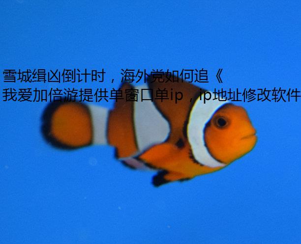ѩǼ׵ʱ⵳׷ԡ
