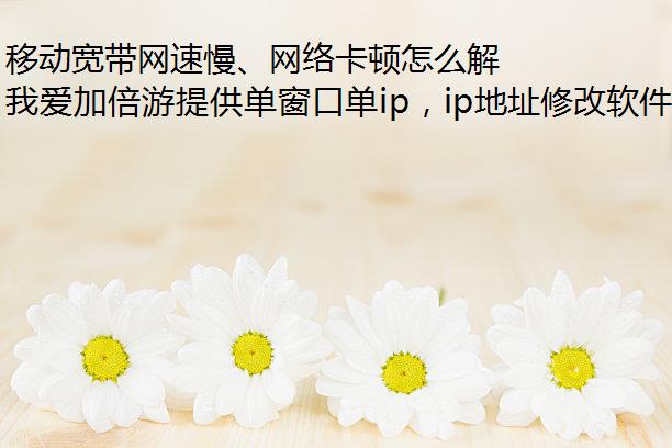 ƶ翨ô