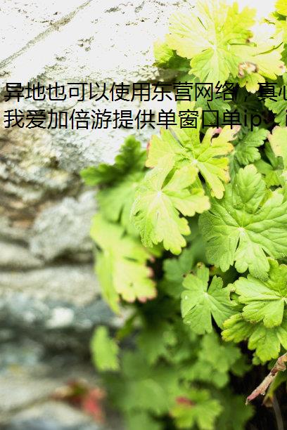 ҲʹöӪ磬