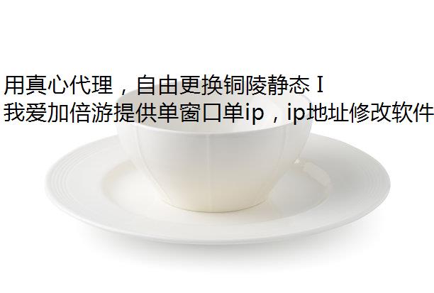 Ĵɸͭ꾲̬ IP ַ