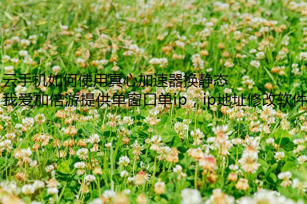 ֻʹļ̬IP