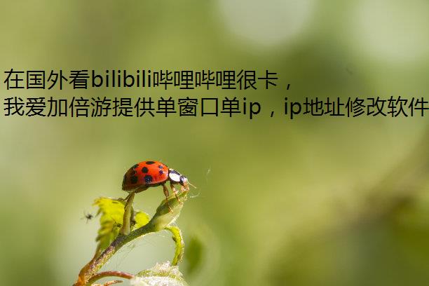 ڹ⿴bilibiliܿip˸ô죿