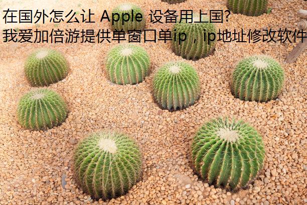 ڹô Apple 豸Ϲ IP ַ