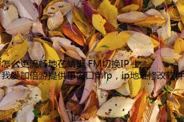 ô FMлIP Ƶ?
