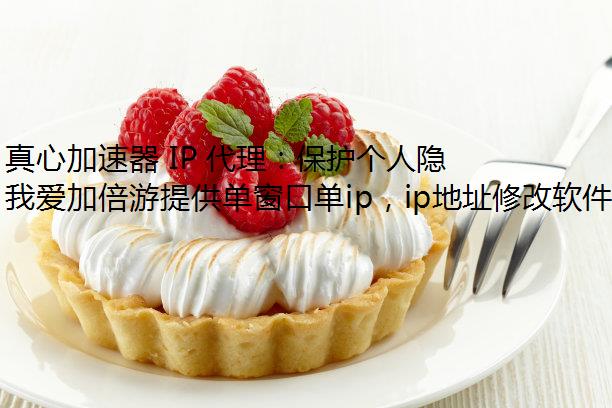 ļ IP ˽·