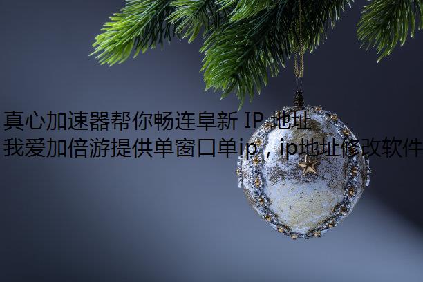 ļ㳩 IP ַ