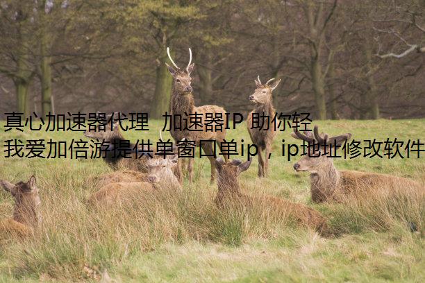 ļ IP л IP ַ