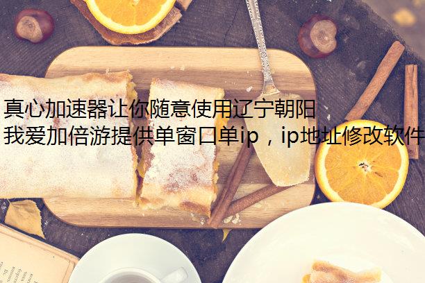 ļʹ̬ ԻipIP ַ