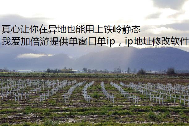 Ҳ뾲̬磡